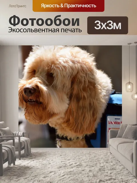 Фотообои Служебная собака