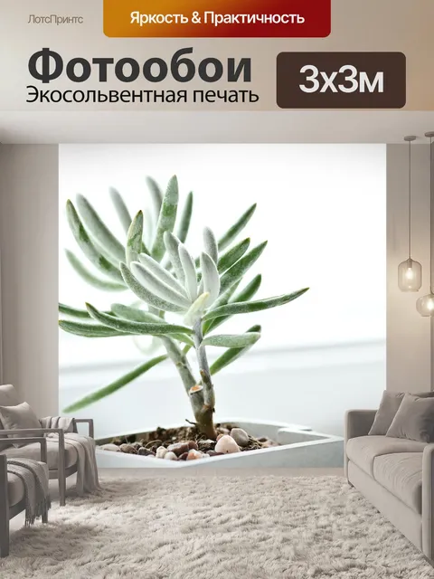 Фотообои Рыбный