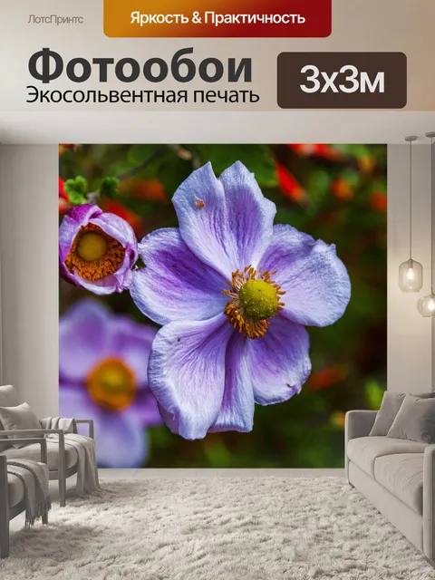 Фотообои Цветы