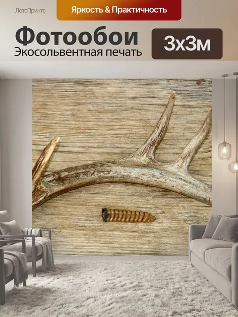 Фотообои Лесные находки