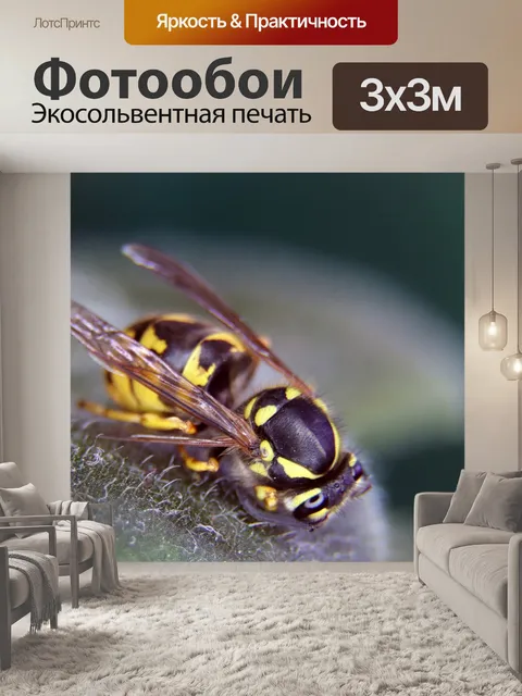 Фотообои Цветок