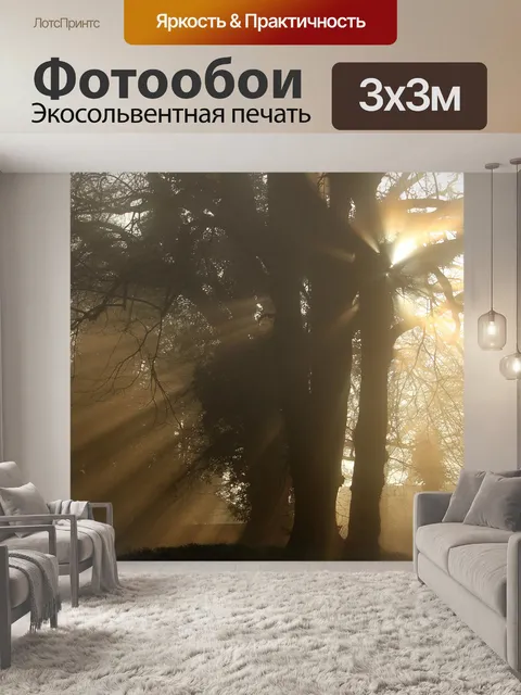 Фотообои Туман
