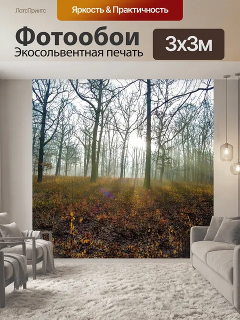 Фотообои Лес