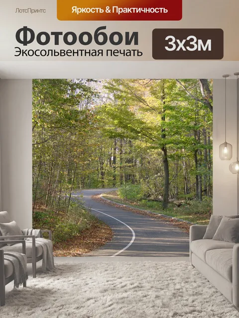 Фотообои Извилистая дорога