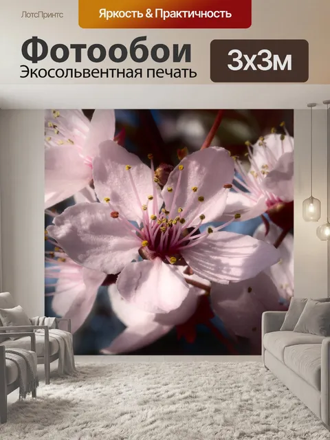 Фотообои Цветение сливы