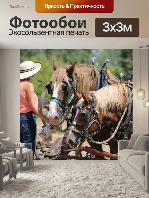 Фотообои Леди