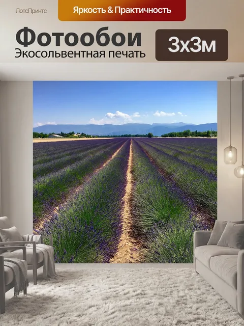 Фотообои Франция