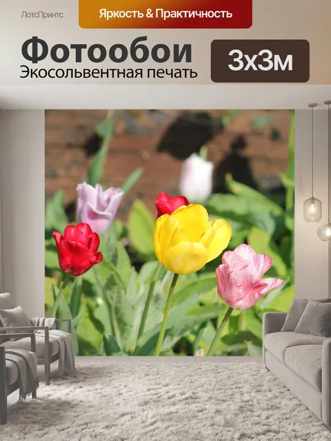 Фотообои Цветы