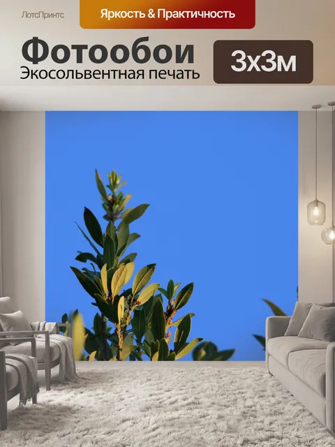 Фотообои Лавровый лист дерева на фоне голубого не