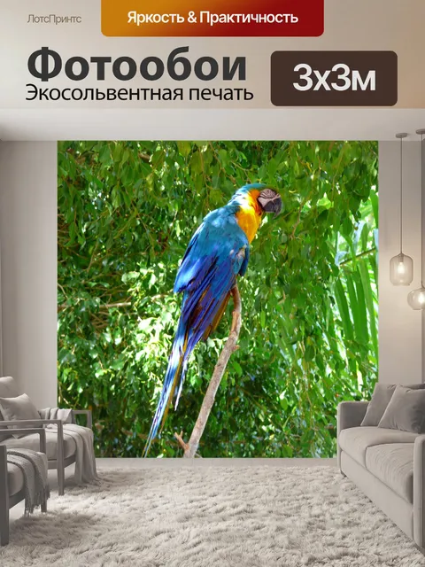 Фотообои Попугай
