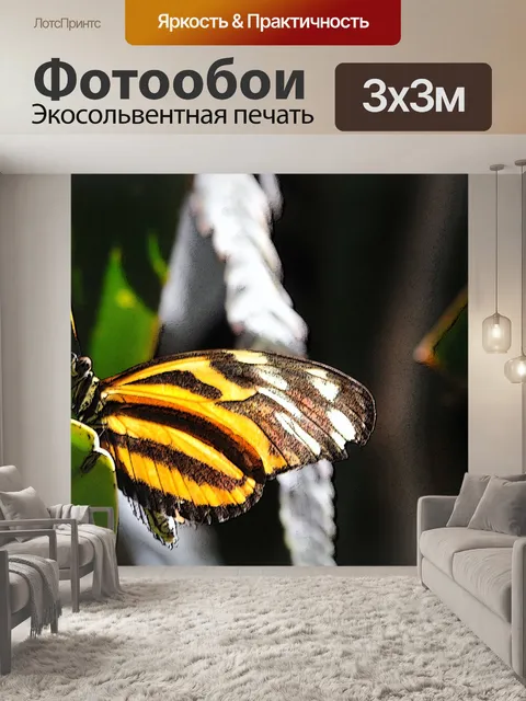 Фотообои Освещенные Крылья бабочки