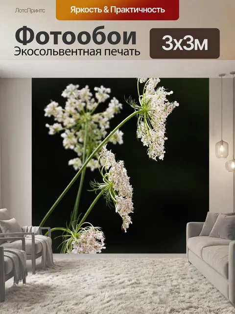 Фотообои Цветы