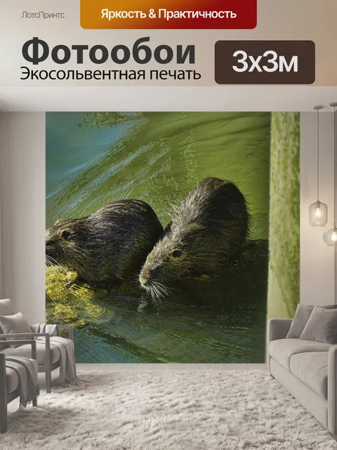Фотообои Природа