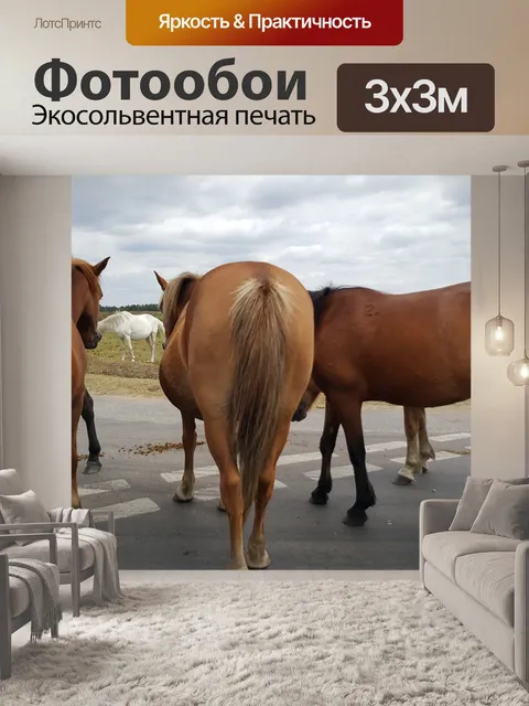 Фотообои Лошади