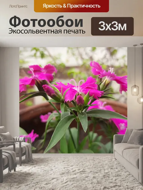 Фотообои Цветы