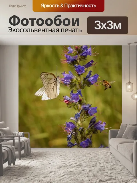 Фотообои Бабочка