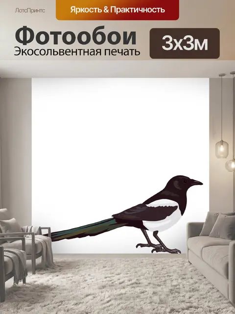 Фотообои сорока
