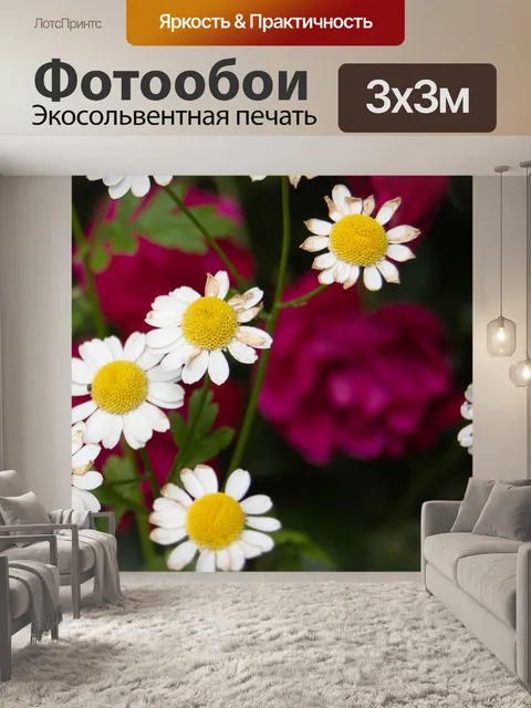 Фотообои Розы