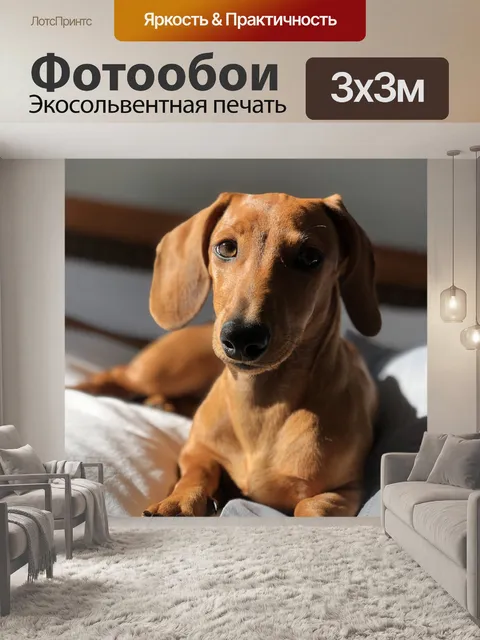 Фотообои Собака