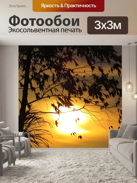 Фотообои Каатинга