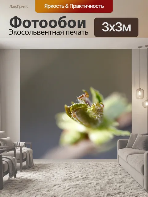 Фотообои Листья