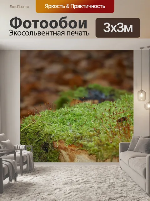 Фотообои Макрос