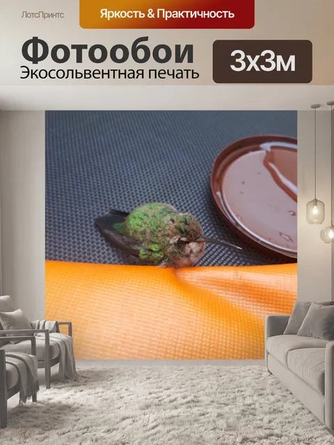 Фотообои Птицы