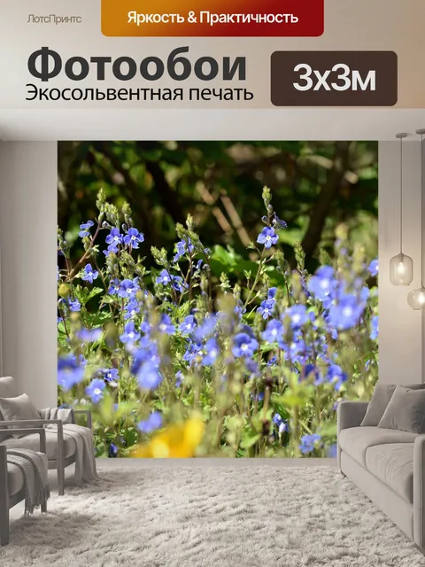 Фотообои Луг