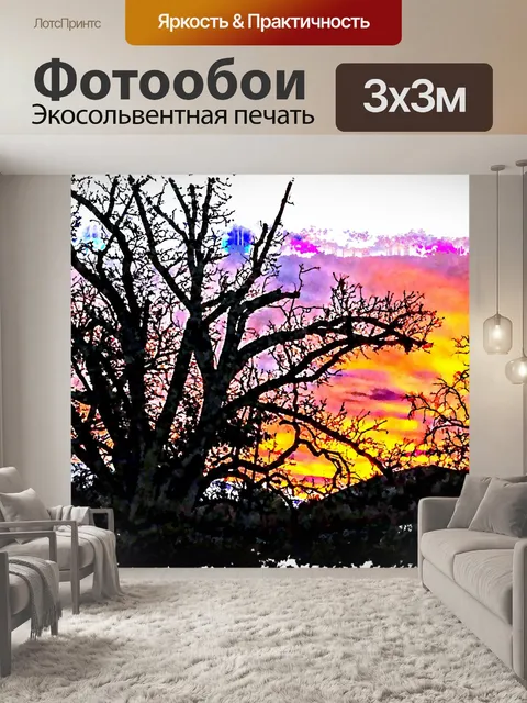 Фотообои Силуэт деревьев