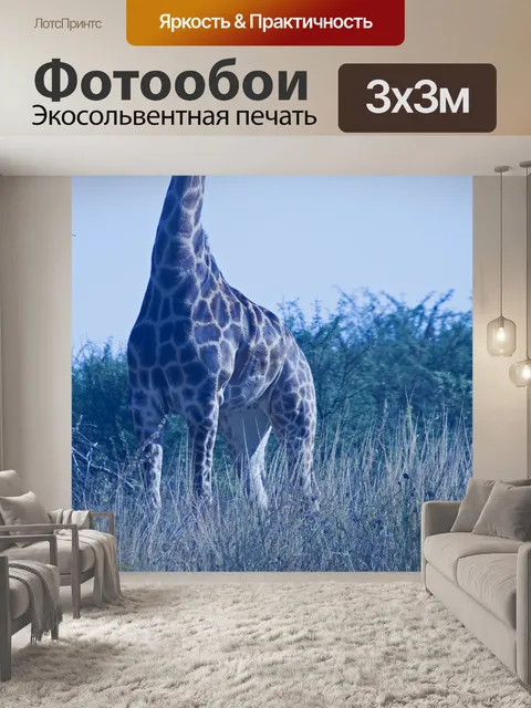 Фотообои вид на узор на африканском жирафе