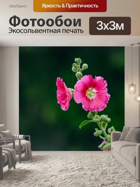 Фотообои Цветок