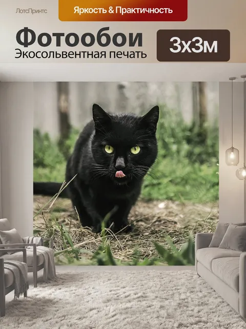Фотообои Кошка
