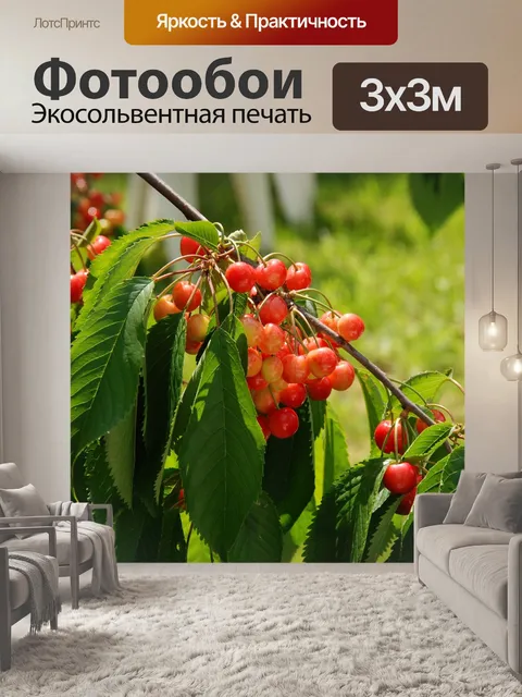 Фотообои Природа