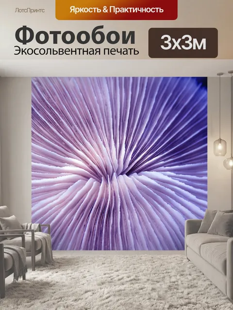 Фотообои Фиолетовый Текстура Коралл