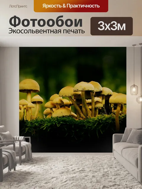 Фотообои Грибы