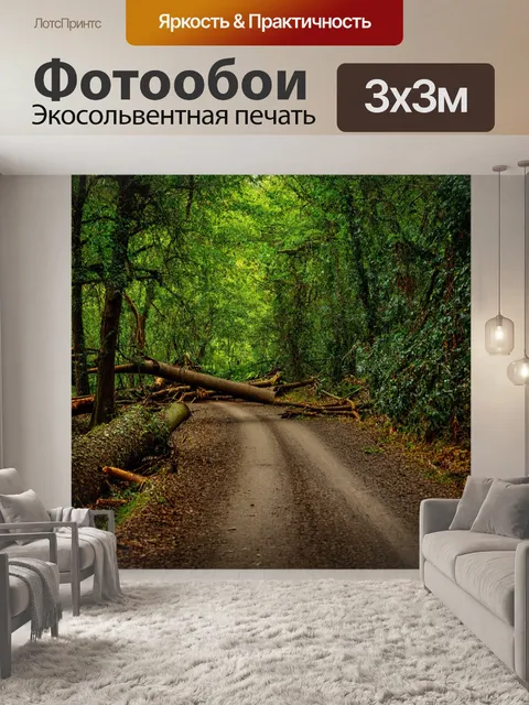Фотообои старая лесная дорога, окружённая поваленными деревьями и лианами