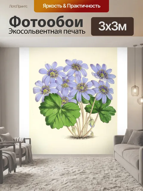 Фотообои Искусство иллюстрации садовых цветов