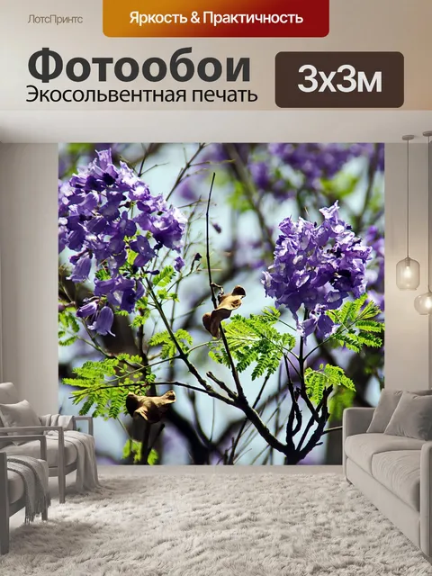 Фотообои Цветы
