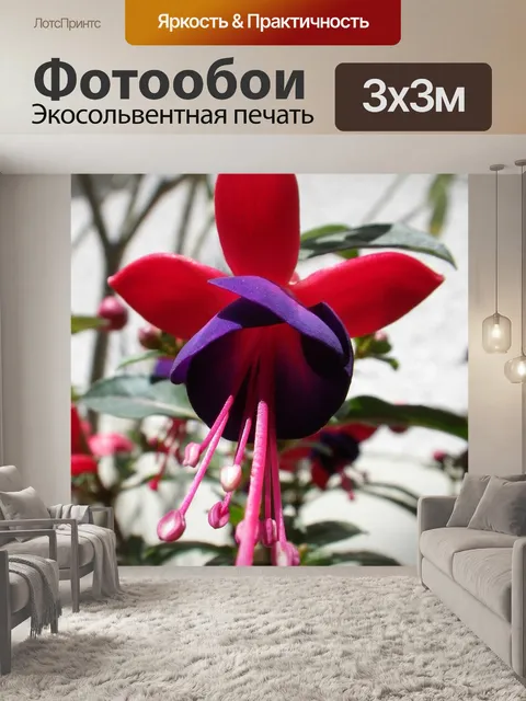 Фотообои Цветок