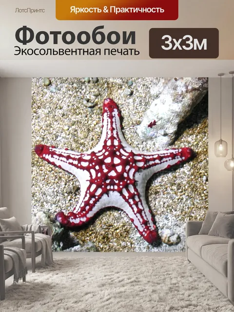 Фотообои Морская звезда