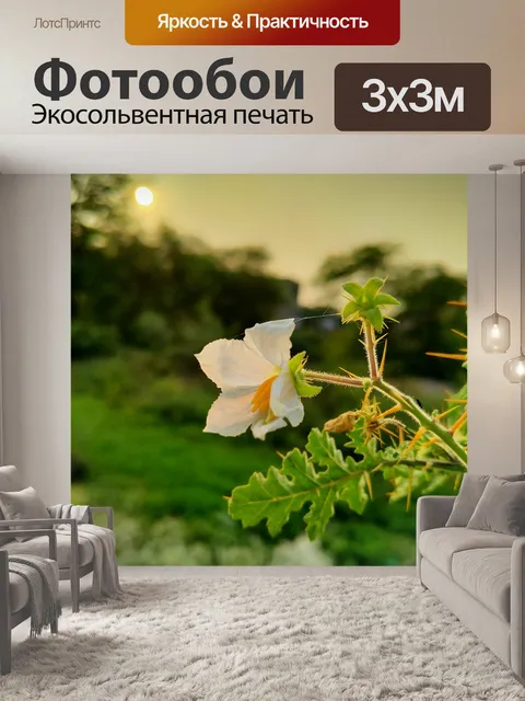 Фотообои Вечер
