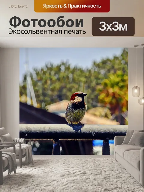 Фотообои Маленькая птица