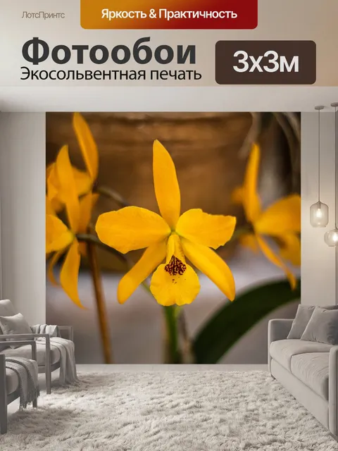 Фотообои Цветы