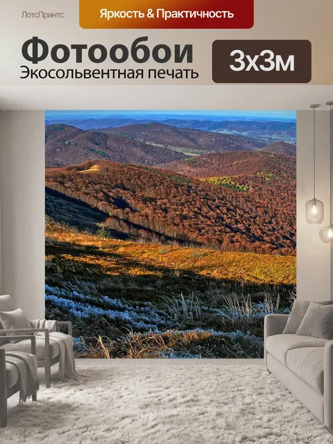 Фотообои Вид