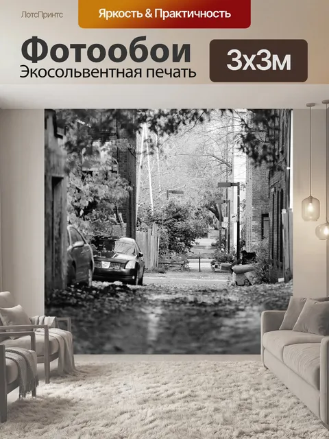 Фотообои Аллея