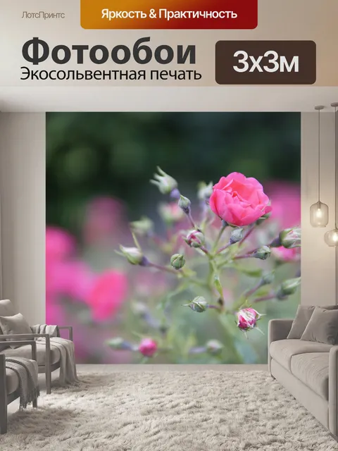 Фотообои Розы