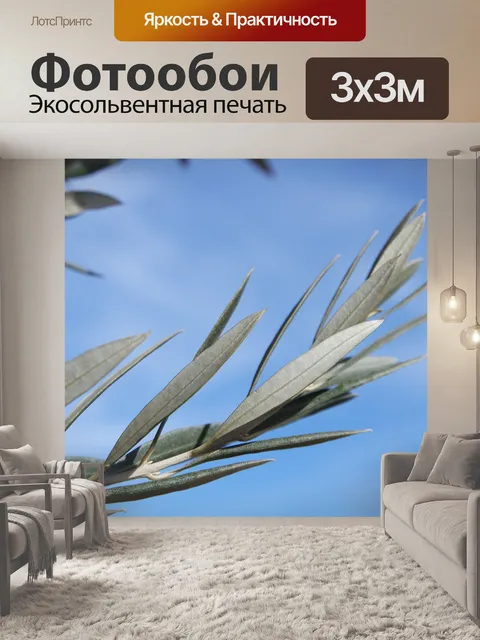 Фотообои Оливковый