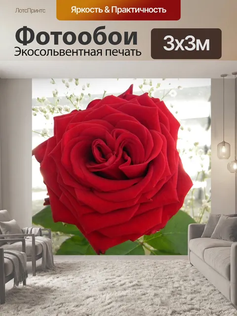 Фотообои Роза