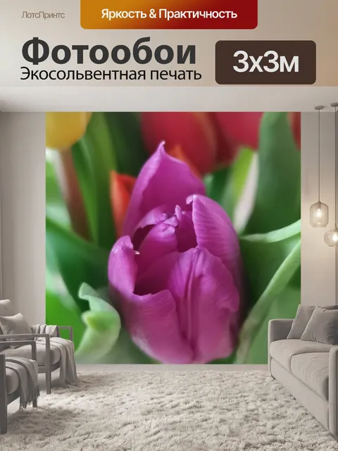 Фотообои Тюльпаны