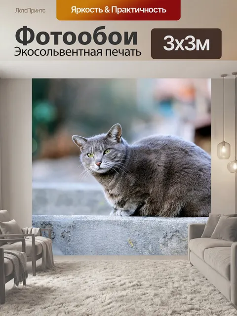 Фотообои Кошка